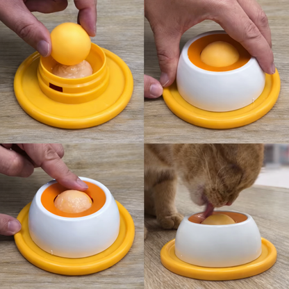 Comedero Interactivo para Mascotas