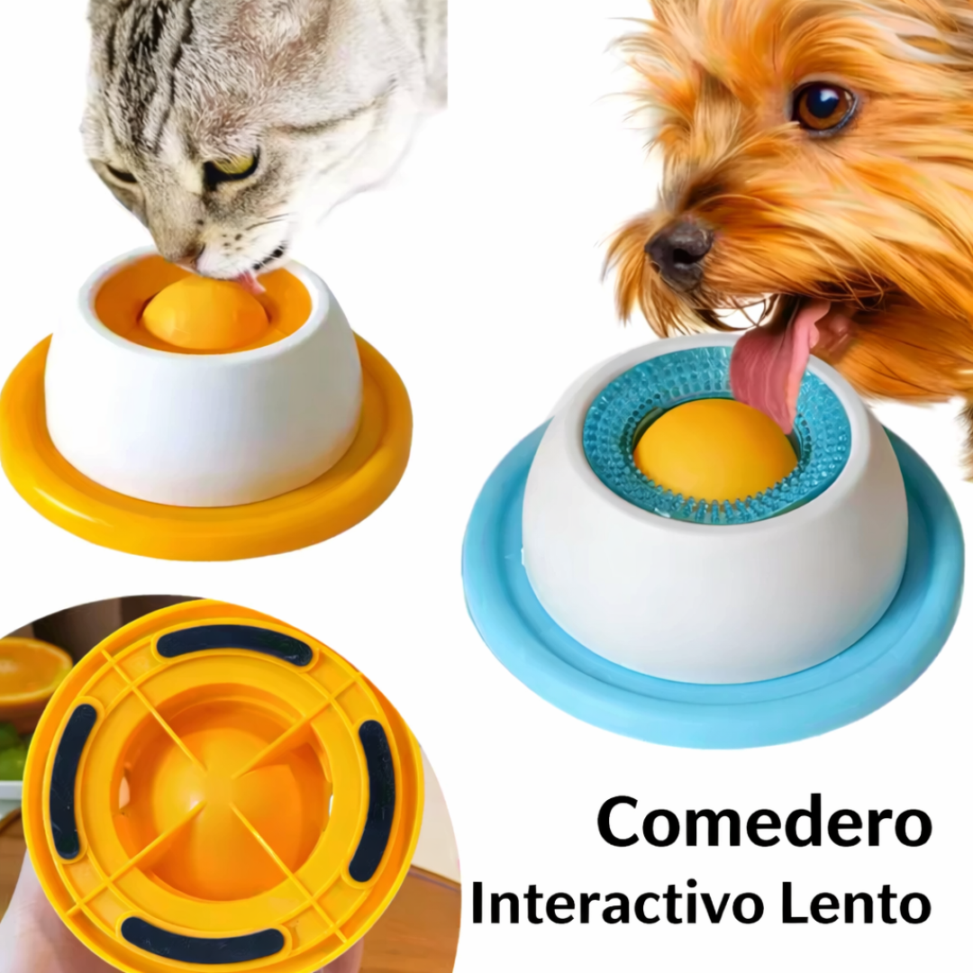 Comedero Interactivo para Mascotas