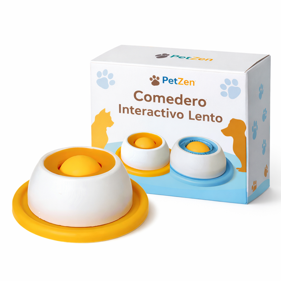 Comedero Interactivo para Mascotas
