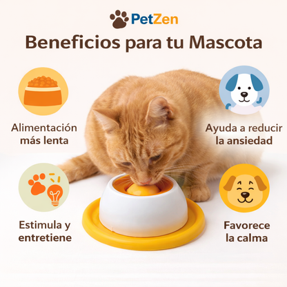 Comedero Interactivo para Mascotas